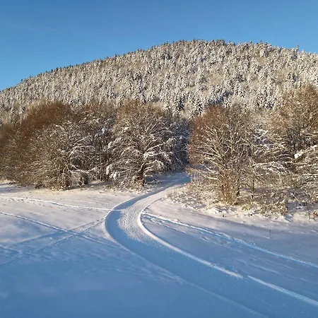 Lys Des Neiges Cote Prairie