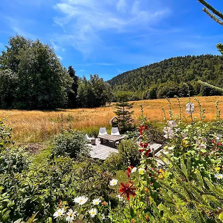 Lys Des Neiges Cote Prairie * Les Déserts